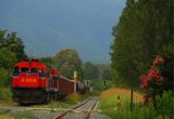 Global Railway Day