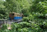 Global Railway Day